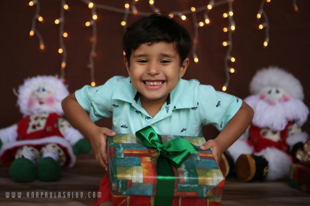 Fotos natal_anapaulasalvofotografias001